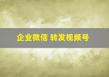 企业微信 转发视频号